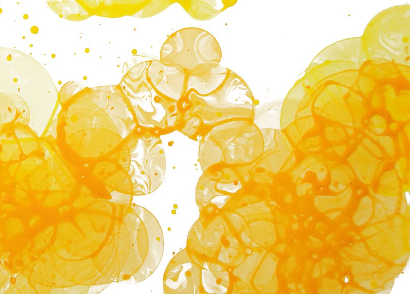 Fiche Pédagogique : BULLES COLORÉES "Cycle 2" Fiche Pédagogique : BULLES COLORÉES "Cycle 2"