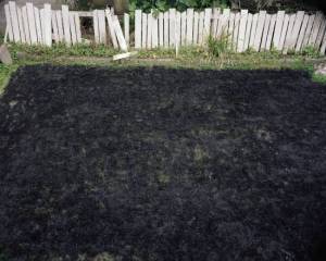 Black-painted-lawn-Andrew-Dadson_large.jpg