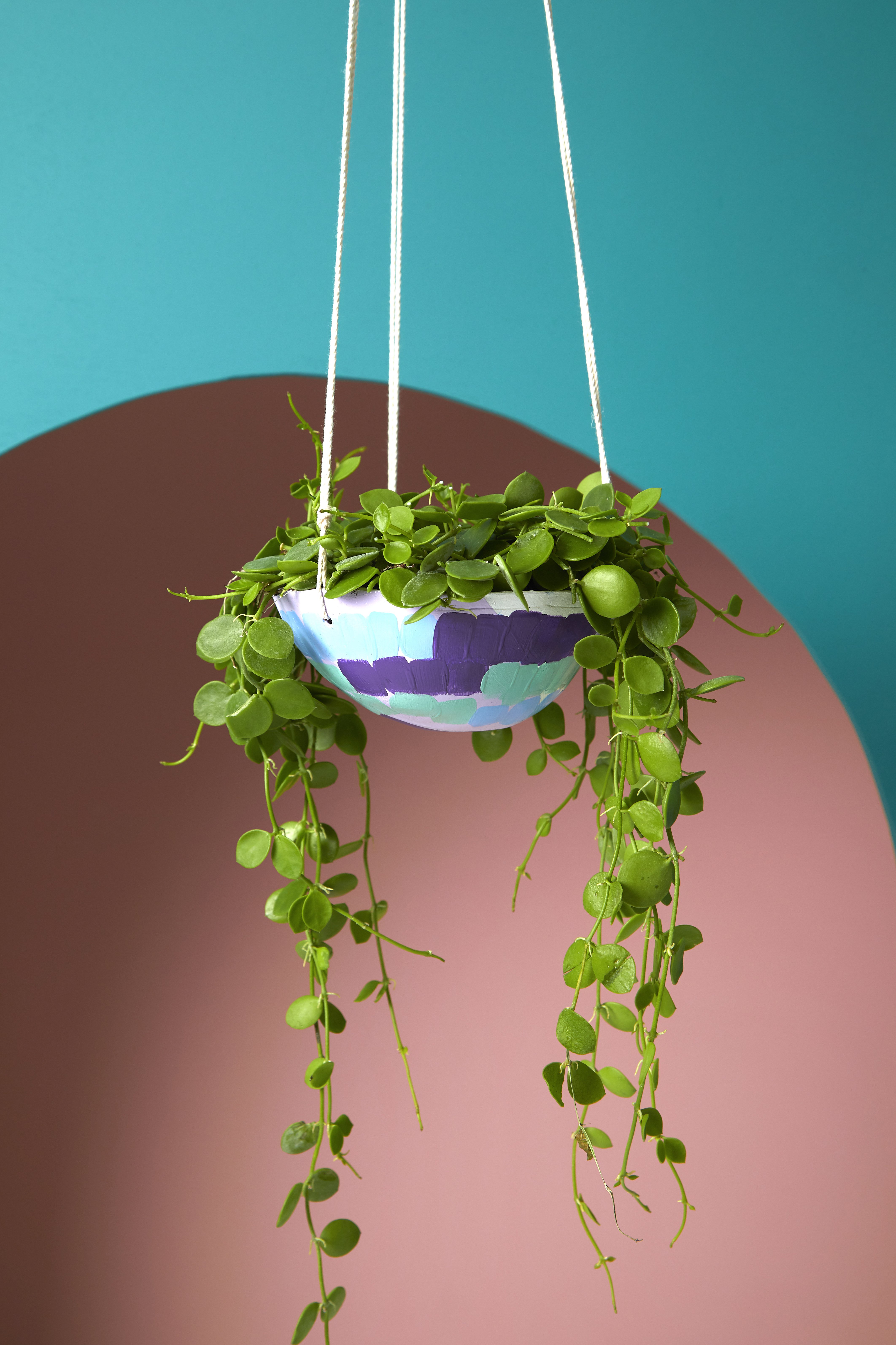 Hanging flowerpots