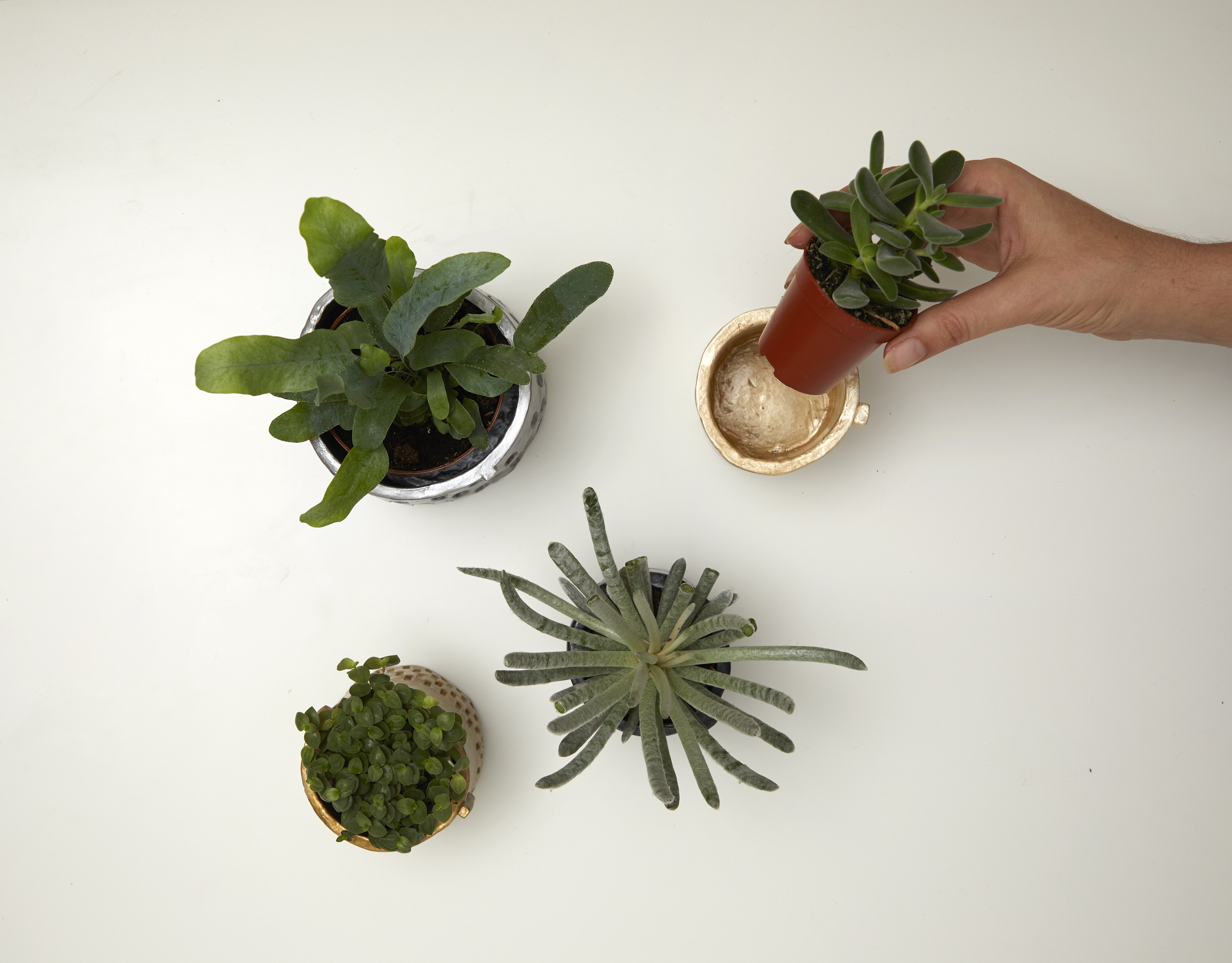 pot en argile DIY pour plantes