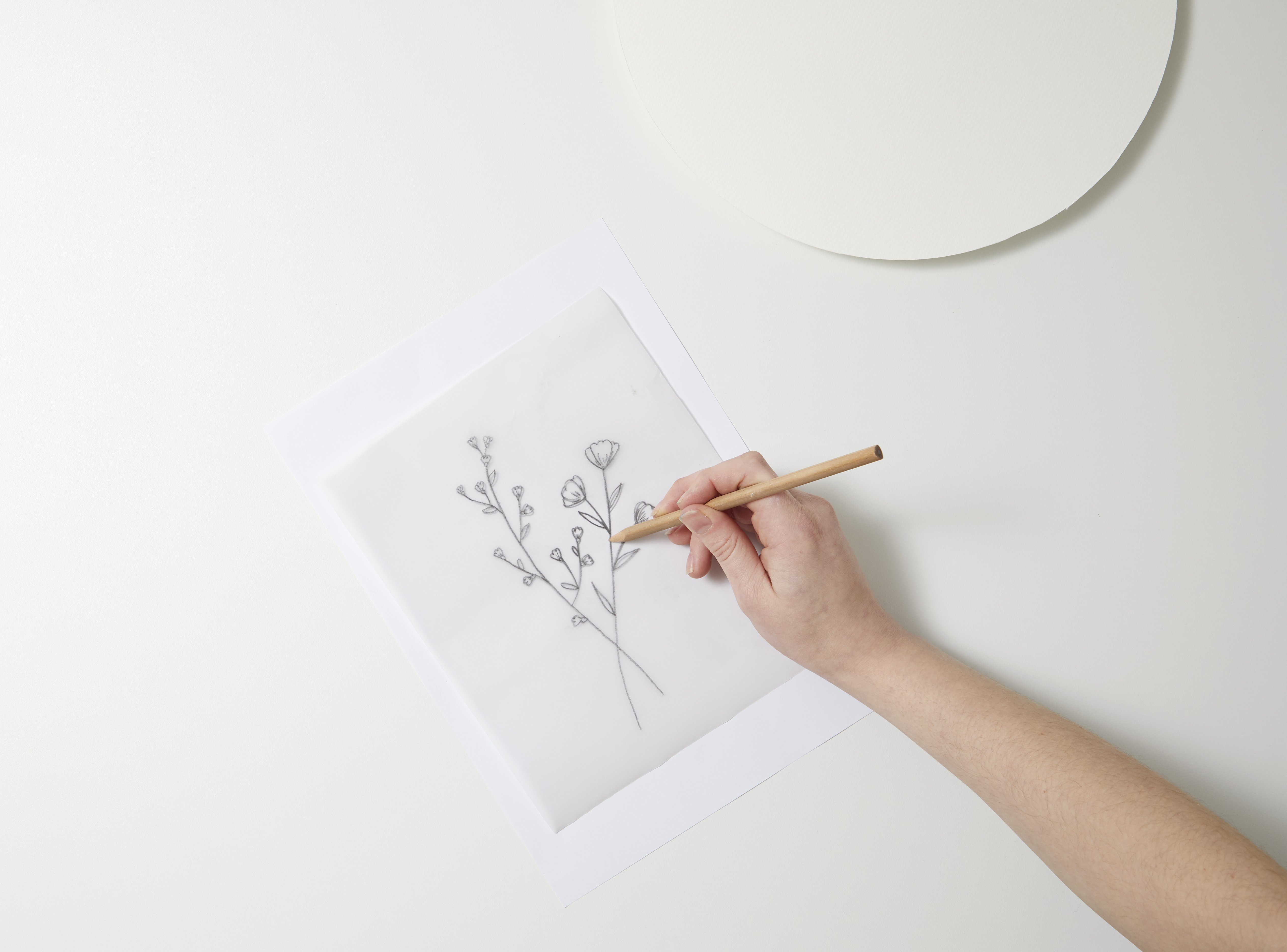 Esquisse au crayon de fleurs sur feuille blanche