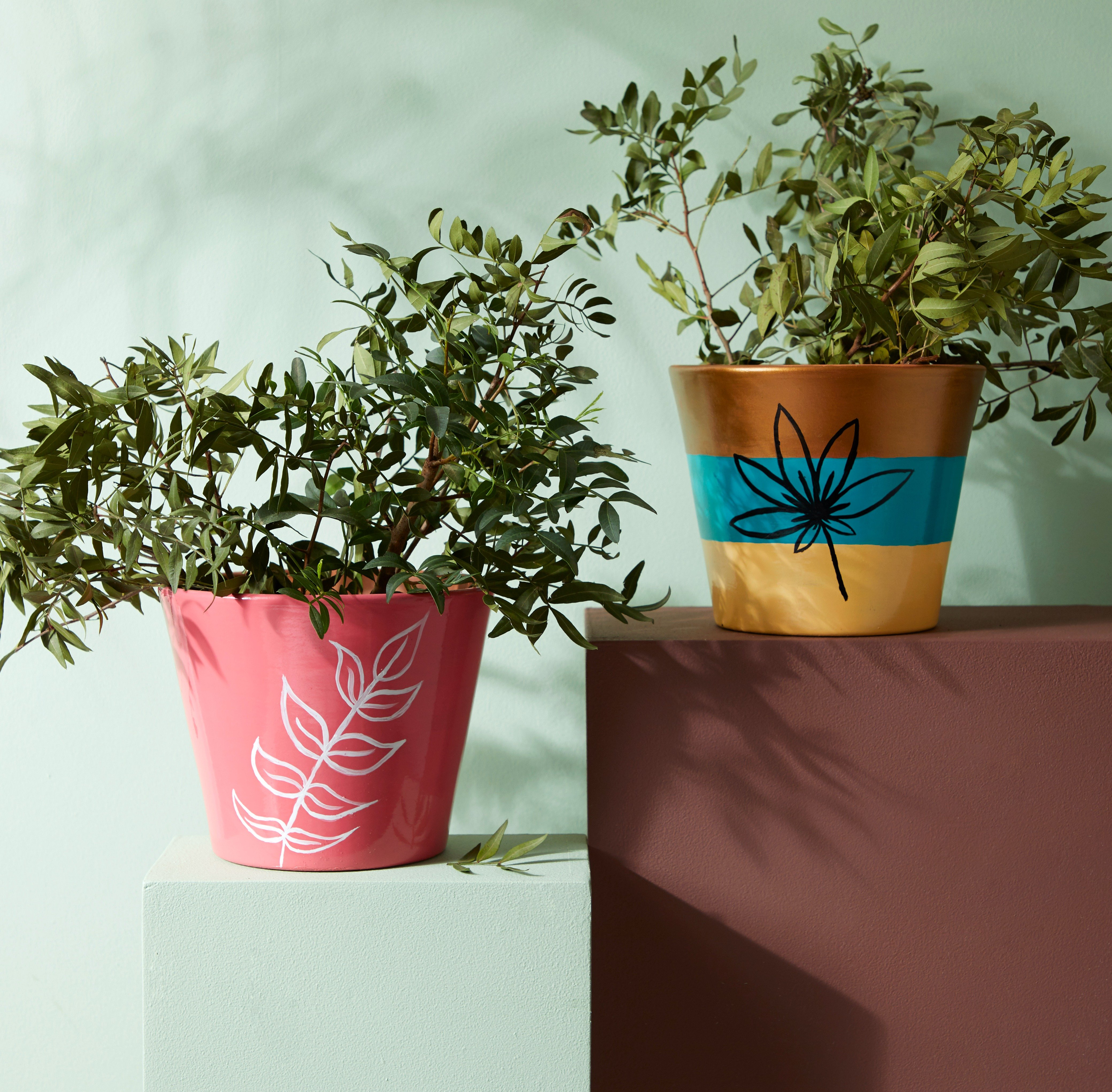 Duo of painted clay pots